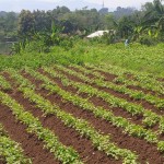 WhatsApp Image 2023-12-31 at 10.06.10_9f237ef5