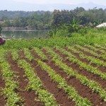 WhatsApp Image 2023-12-31 at 10.06.10_b1f3dd35