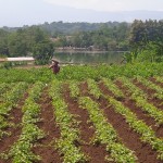 WhatsApp Image 2023-12-31 at 10.06.11_bee1666b