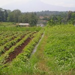 WhatsApp Image 2023-12-31 at 10.06.12_23f85d72