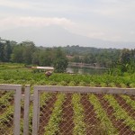 WhatsApp Image 2023-12-31 at 10.06.12_8eb1982f