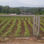 WhatsApp Image 2023-12-31 at 10.06.12_d7344976