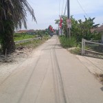 WhatsApp Image 2023-12-31 at 10.06.13_461ce508