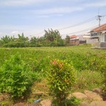 WhatsApp Image 2023-12-31 at 10.07.00_2d373c6c