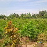 WhatsApp Image 2023-12-31 at 10.07.01_5cd615bf