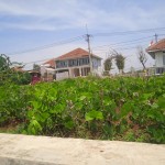 WhatsApp Image 2023-12-31 at 10.07.02_bbbdd971