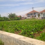 WhatsApp Image 2023-12-31 at 10.07.03_8a6bfdfb