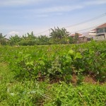 WhatsApp Image 2023-12-31 at 10.07.03_eaadb9fb