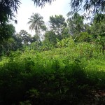 WhatsApp Image 2023-12-31 at 12.41.53_deb055cf