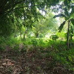 WhatsApp Image 2023-12-31 at 12.41.55_f2d70a60