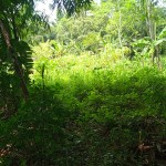 WhatsApp Image 2023-12-31 at 12.41.56_4d3fa162