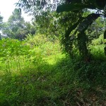 WhatsApp Image 2023-12-31 at 12.41.56_d3e3c9ac