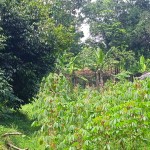 WhatsApp Image 2023-12-31 at 12.41.56_fe83160a