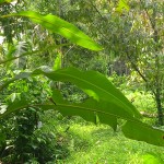 WhatsApp Image 2023-12-31 at 12.41.57_40b745d6