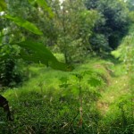 WhatsApp Image 2023-12-31 at 12.41.57_46c25518