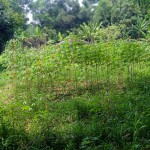 WhatsApp Image 2023-12-31 at 12.41.58_0f7f87fa