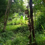 WhatsApp Image 2023-12-31 at 12.41.58_a27552ae