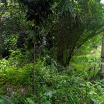 WhatsApp Image 2023-12-31 at 12.41.58_d879925b