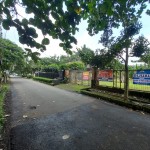 WhatsApp Image 2024-01-10 at 13.14.42_3d2c9315