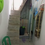 WhatsApp Image 2024-01-13 at 11.52.59_b08f0725