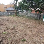 WhatsApp Image 2024-01-16 at 10.23.51_8af87b46