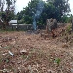 WhatsApp Image 2024-01-16 at 10.23.52_394e9ee3