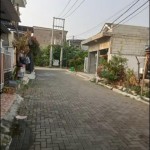 WhatsApp Image 2024-01-18 at 12.31.41_d9fb6935