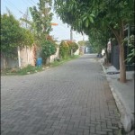 WhatsApp Image 2024-01-18 at 12.31.42_e5585d3d