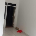 snapedit_1702964868699