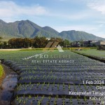 Untitled design (14)