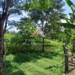 Untitled design (33)