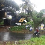 Untitled design (34)