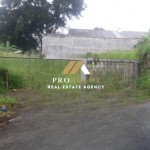 Untitled design (37)