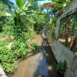 Untitled design (37)