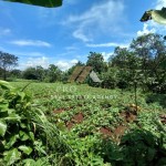 Untitled design (38)