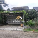 Untitled design (38)