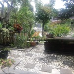 Untitled design (38)