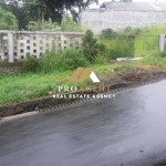 Untitled design (39)