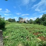 Untitled design (39)