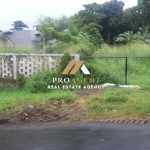 Untitled design (41)