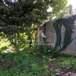 Untitled design (41)