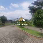 Untitled design (41)