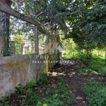 Untitled design (42)