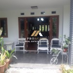 Untitled design (42)