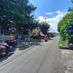 Untitled design (43)