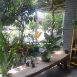 Untitled design (43)