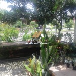 Untitled design (44)