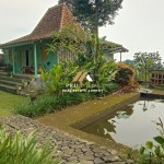 Untitled design (47)