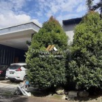 Untitled design (49)