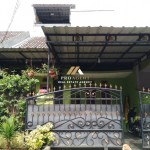 Untitled design (49)